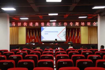 马田街道召开舆情处置工作专题培训会