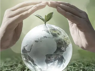 最高法发布《中国生物多样性司法保护》报告 用最严密法治保护生物多样性