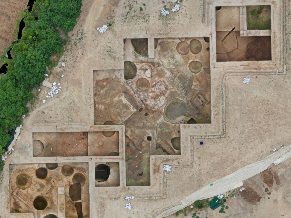 河南苏羊遗址发现300余座龙山时期墓葬