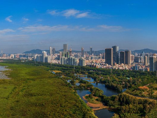 深圳：奔向全球科创高地