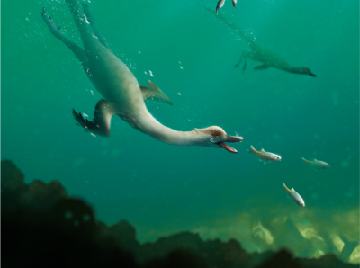 会潜水 爱吃鱼 首例“流线型”非鸟兽脚恐龙发现