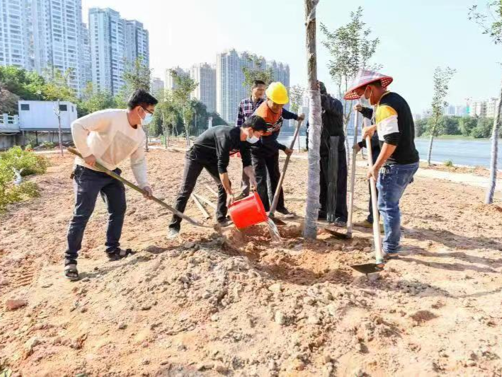 揭阳市开展创建国家森林城市义务植树活动