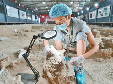 “考古中国”实施200余项考古发掘
