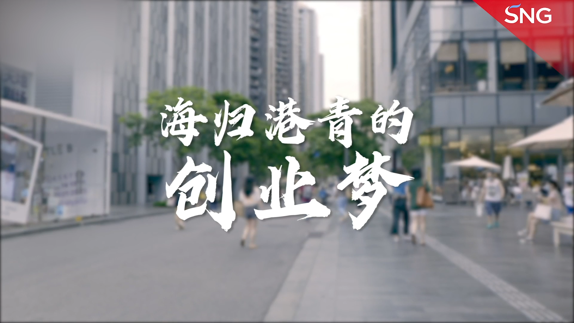 海归港青的创业梦
