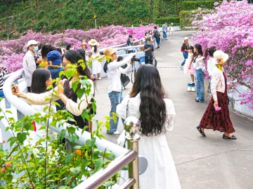 春节逛仙湖植物园，预约购票、凭票入园，还有这些注意事项
