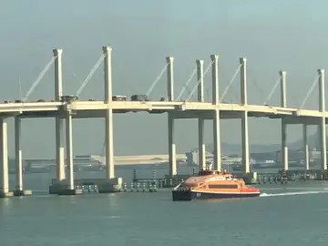 通关！蛇口邮轮母港迎来首批乘船由港来深旅客