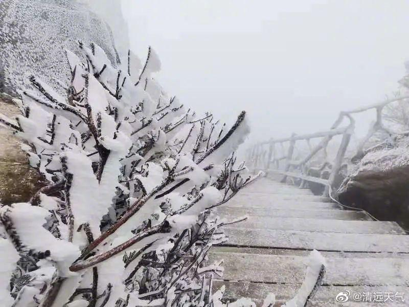 最低气温仅8℃左右！深圳春节假期初四最冷