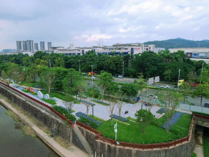 龙岗区：确保各项工作收好官开好局
