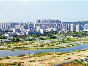 珠海金湾盘活闲置土地唤醒“沉睡”资源，化“虚地”为“金土”