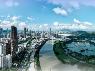 开展十大专项行动，福田2023年这么干！