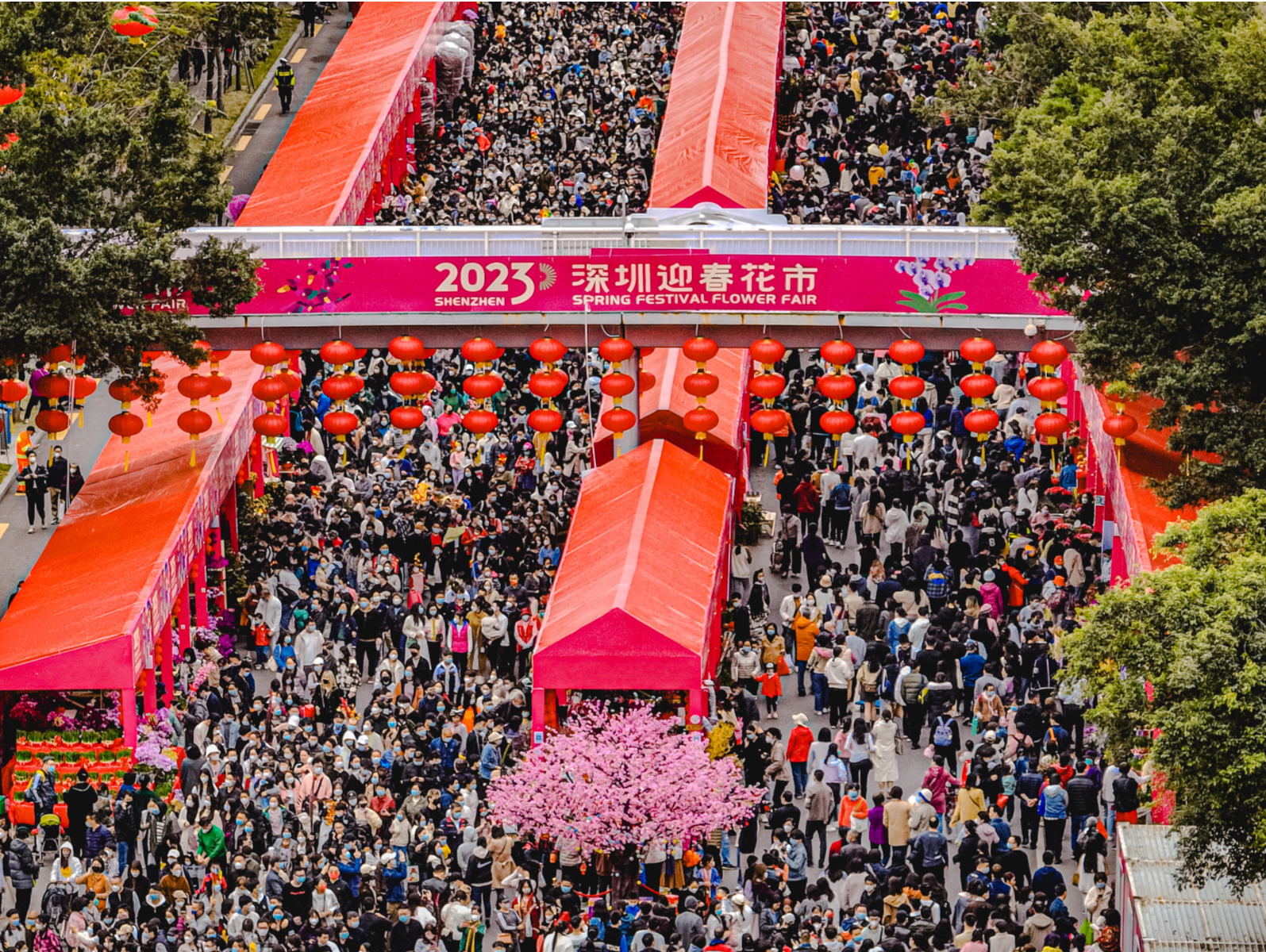 深圳春节消费市场实现开门红，全市线下消费金额55.94亿元