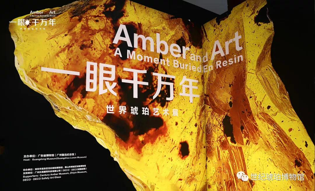 “一眼千万年——世界琥珀艺术展”开幕，宝安区民营博物馆首次在省博办展