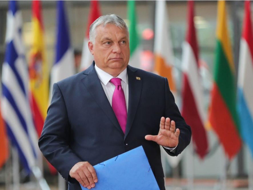 调查：逾六成匈牙利人认为欧盟搞“双标”
