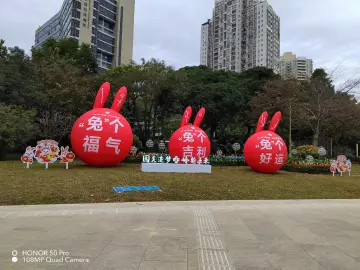 暖心辞旧岁·瑞兔迎新春，园岭街道南天社区春节嘉年华乐翻天