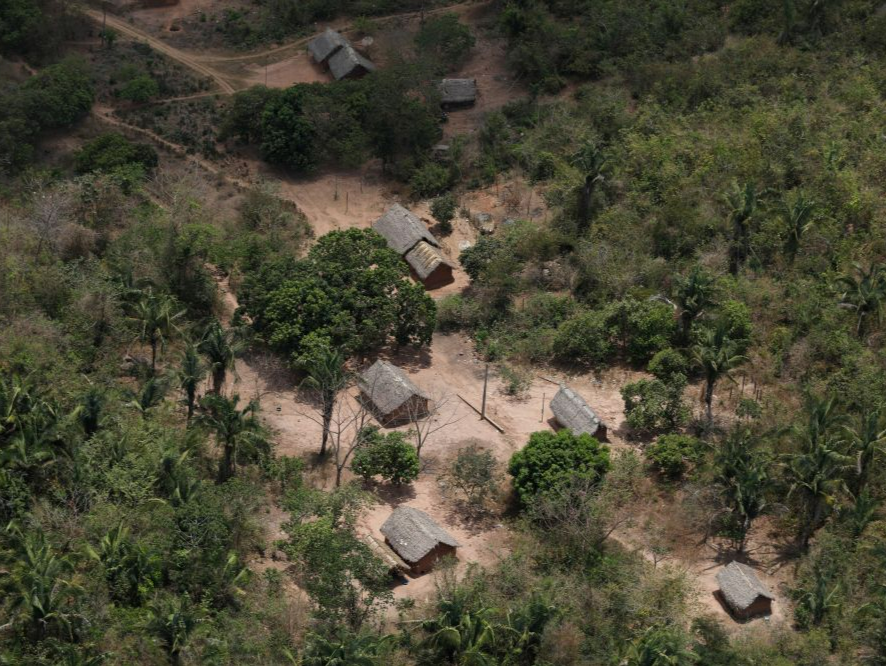 巴西新总统签署保护亚马孙地区等环保法令