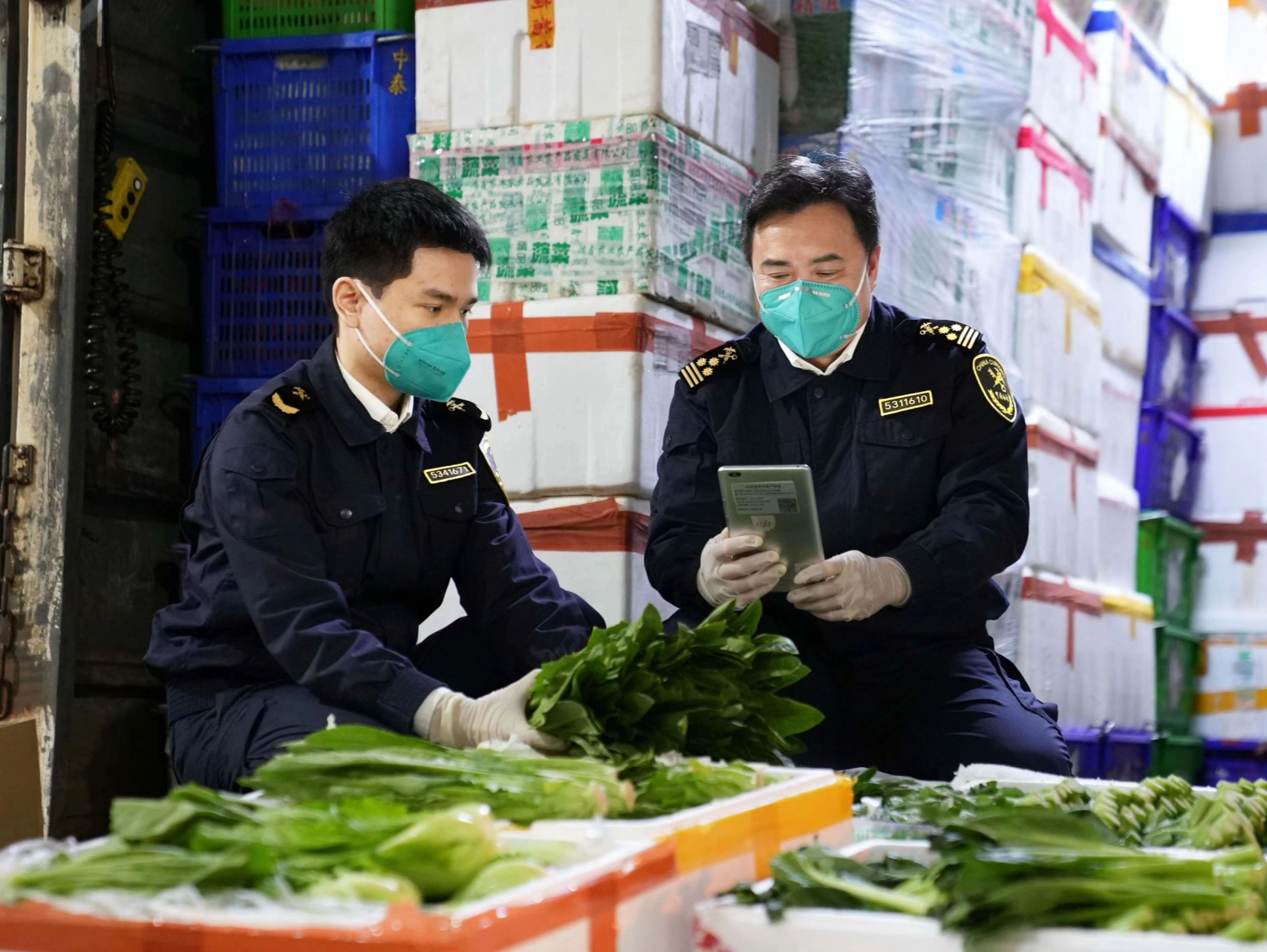 新春走基层 | 每天出境供港鲜活车辆约550辆  香港市民春节饭桌菜品越来越“靓”