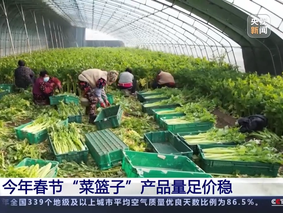 农业农村部：今年春节“菜篮子”产品量足价稳