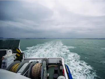 1月8日起，深港水上客运航线恢复运营！