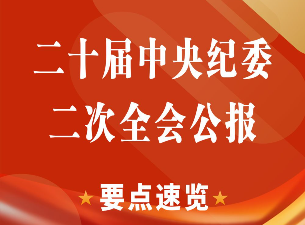 二十届中央纪委二次全会公报要点速览