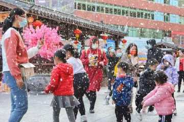 花好人欢！公明红木小镇迎春花市开市