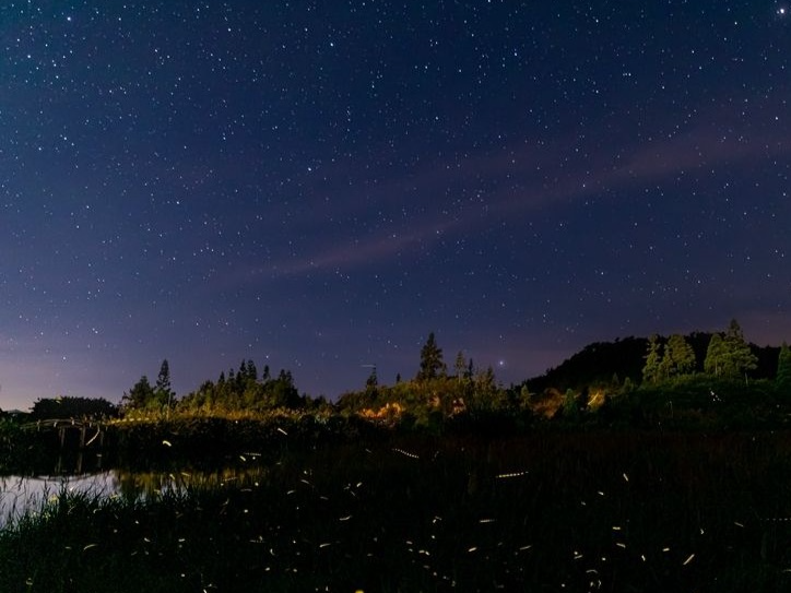 星星正在“消失”？出生时看到二百五十颗 十八岁时只能看到一百颗