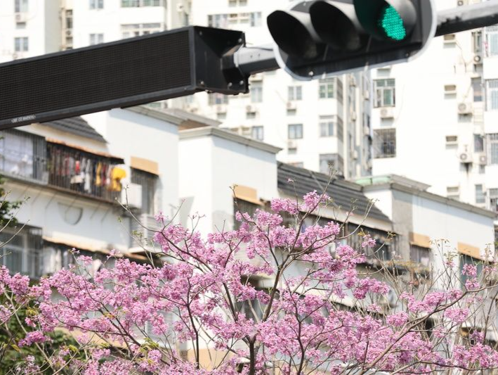 快评 | 从春天出发，像动如脱兔般奋跃前行