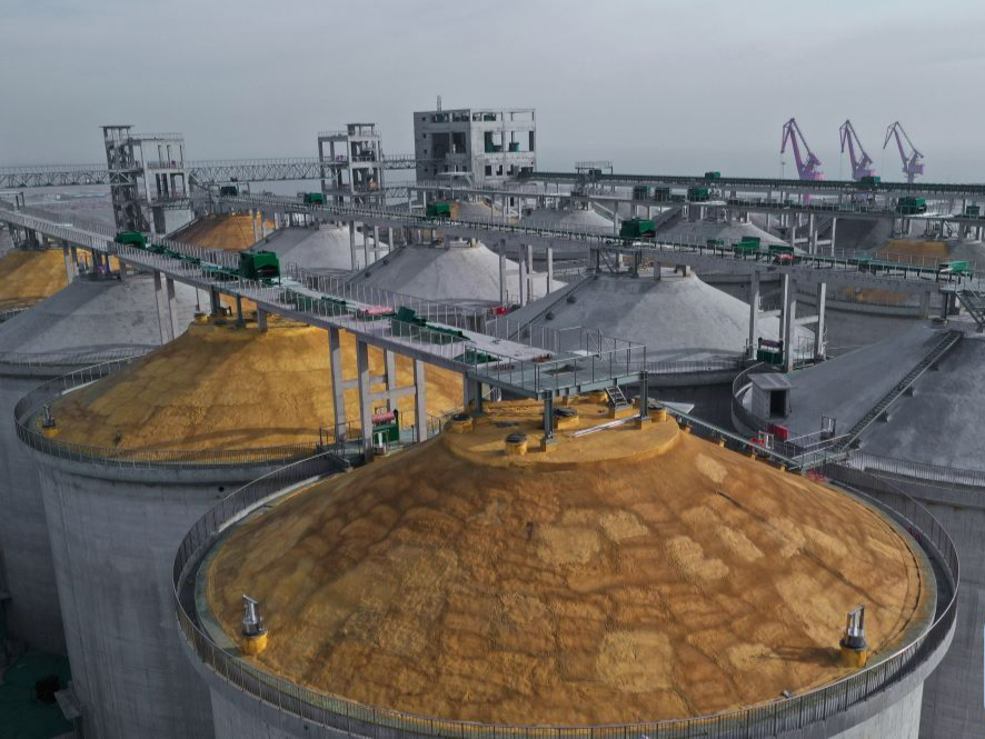 生产、储备、流通能力全面提高——粮食保供稳价基础牢固