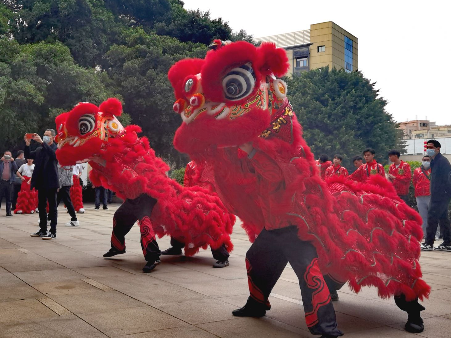 同饮东江水，共庆吉祥年！香港同胞在深迎新春 