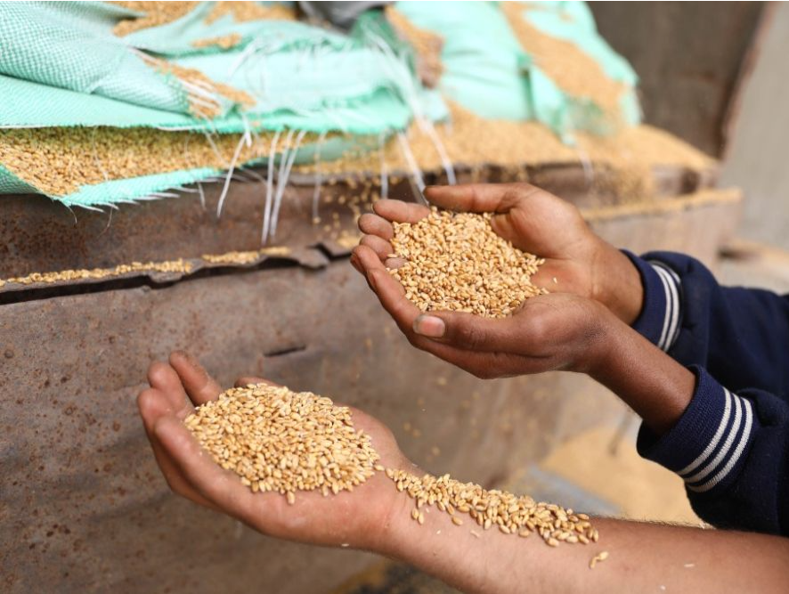 联合国粮农组织：全球食品价格指数连续9个月下降