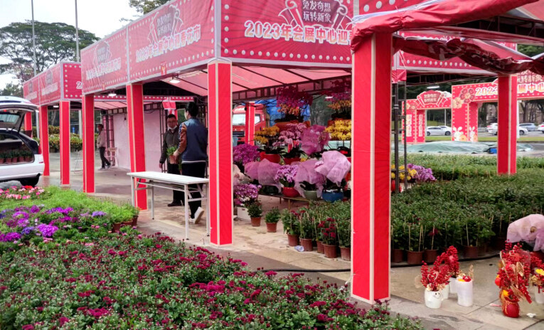 惠州会展中心迎春花市已开市，档主陆续进驻，部分市民提前来感受“年味”。