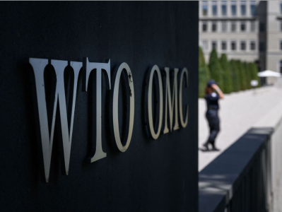WTO陷困境！谁是“麻烦制造者”？