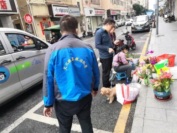公明街道开展流浪犬收治救助行动