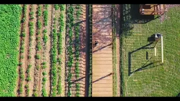 养眼又暖心！新湖街道有个面积达八千平方米的“幸福菜园”