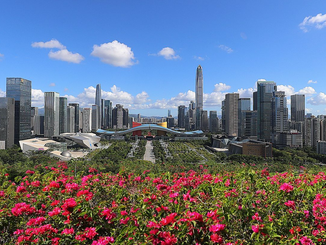 深圳市出入境办证业务迎来高峰