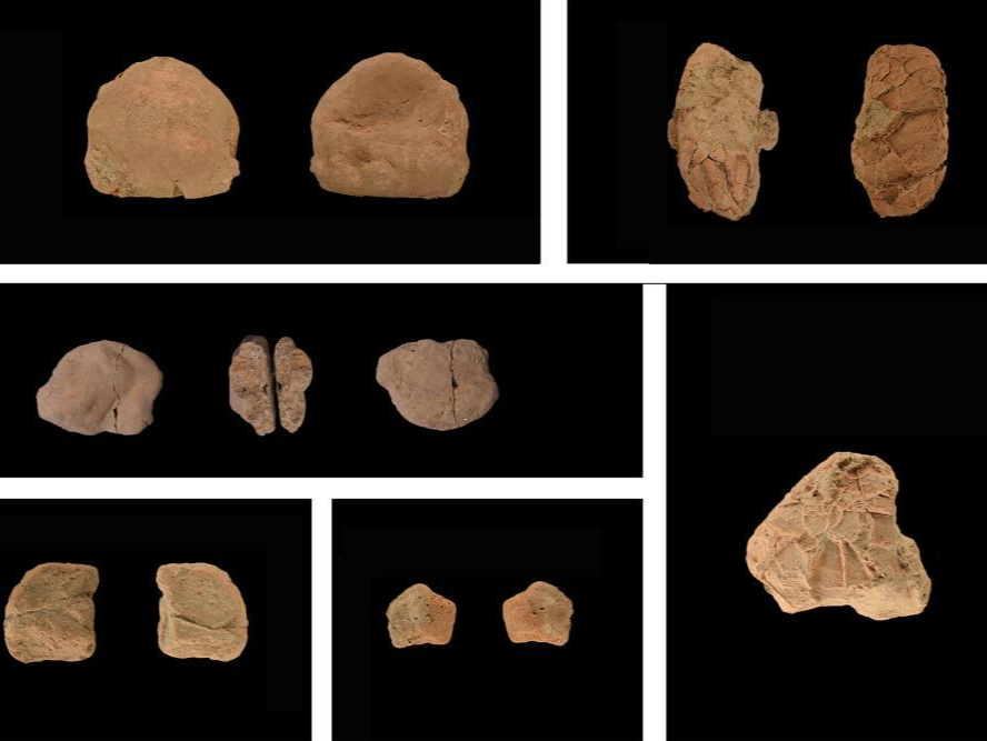 山东发现距今1.32万年的人类遗址