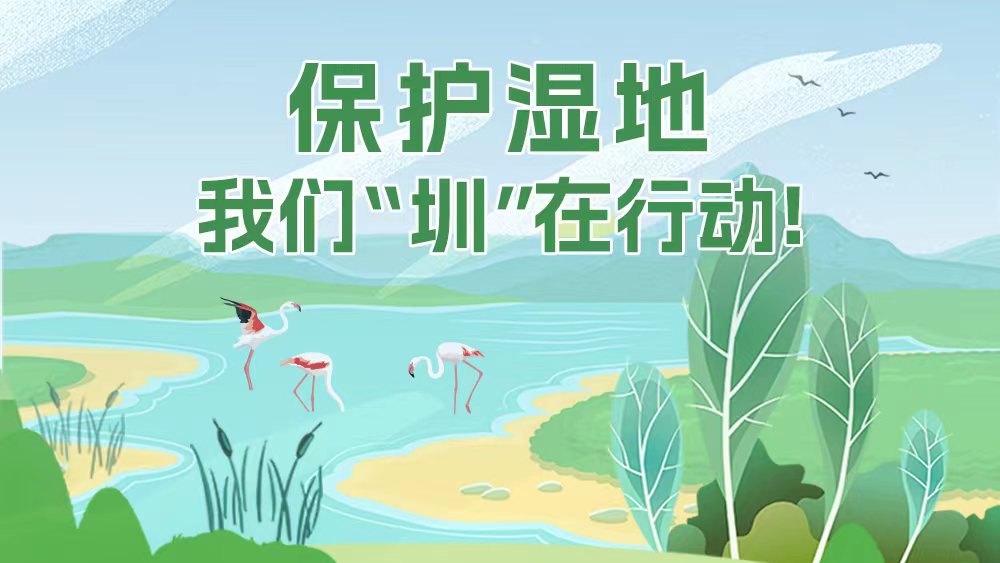 特有数｜保护湿地，我们“圳”在行动