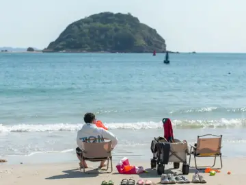 “兔”然剧透！大鹏新区元宵节活动先睹为快