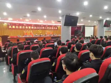 凤凰街道压实安全生产主体责任营造安全有序发展环境