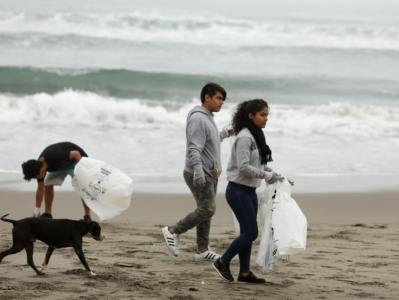 罕见！秘鲁585头海狮死于禽流感