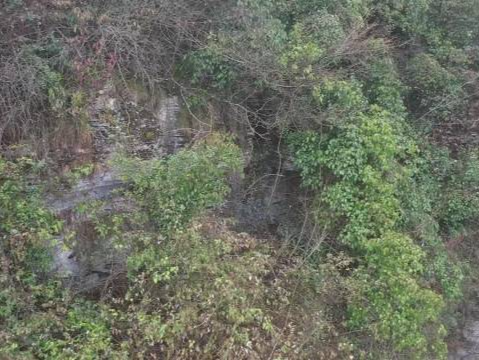 抢劫156元后潜逃，男子潜入山洞14年成“野人”
