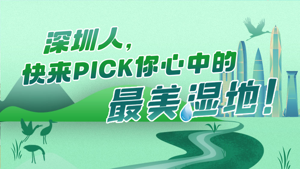 H5 | 深圳人，快来pick你心中的最美湿地！