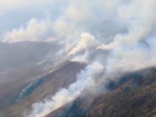 古巴东部森林火灾持续，过火面积超1300公顷