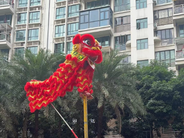 鸣锣！深圳小区舞狮闹元宵