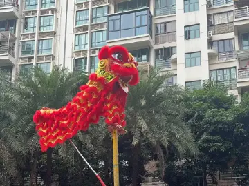 鸣锣！深圳小区舞狮闹元宵
