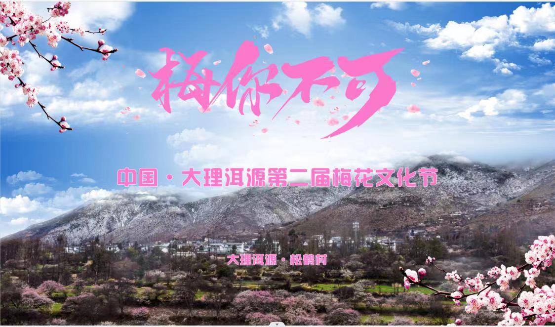 直播｜“梅你不可”中国·大理洱源第二届梅花文化节 