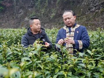 代表委员履职故事｜全国人大代表龙献文：奋战在乡村振兴一线