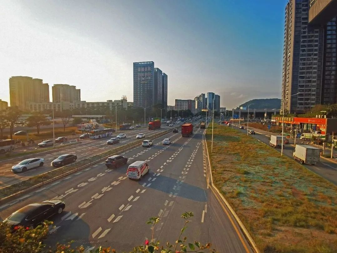 深圳“第二深南大道”要来啦！107国道市政化改造工程勘察设计公开招标