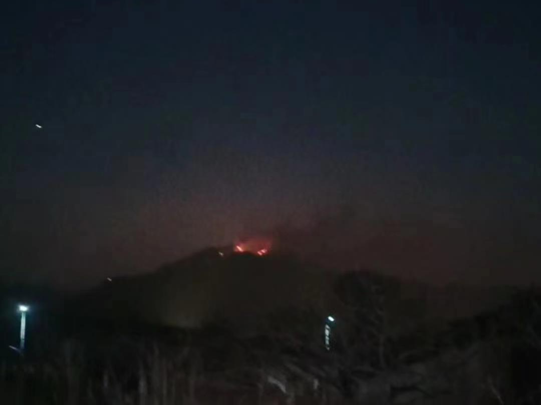 辽宁一风景区发生山火，目前火势可控