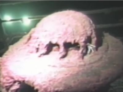 1986年拍摄的泰坦尼克号残骸视频首次公开