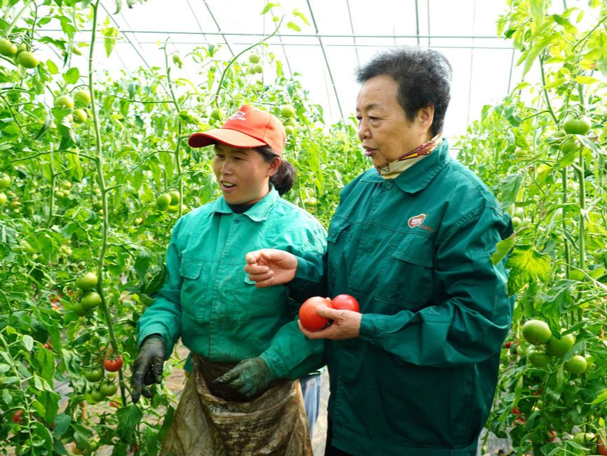 十年两会·温暖记忆｜“当好‘火车头’，跑出乡村振兴‘加速度’！”